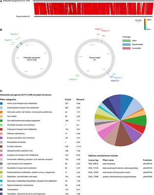 Isolation of a Novel Jumbo Bacteriophage Effective Against Klebsiella aerogenes